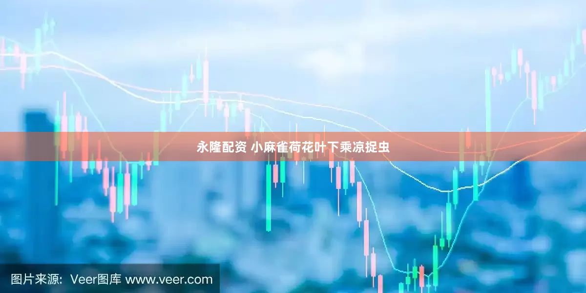 永隆配资 小麻雀荷花叶下乘凉捉虫