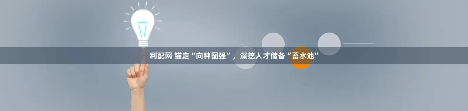 利配网 锚定“向种图强”，深挖人才储备“蓄水池”