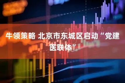 牛领策略 北京市东城区启动“党建医联体”