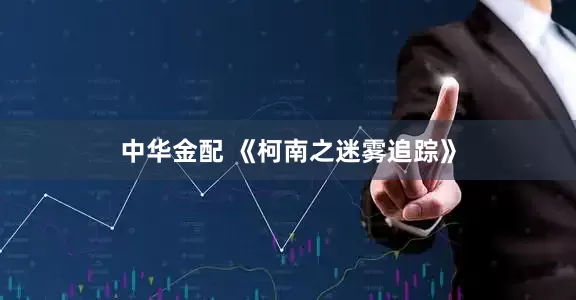 中华金配 《柯南之迷雾追踪》